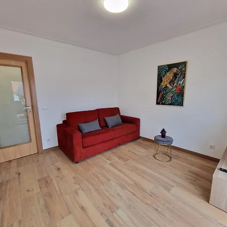 Cozy Apartment With Terrace, Air Cond, Free Parking, By Porto With Love Lda Exterior photo