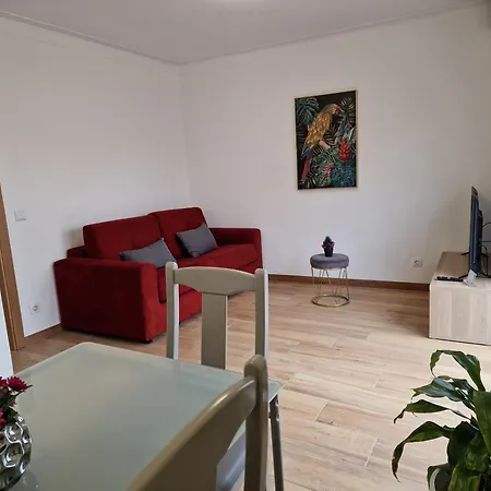 Cozy Apartment With Terrace, Air Cond, Free Parking, By Porto With Love Lda Exterior photo